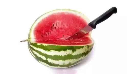 吃瓜群众等级名称,从路人甲到瓜王，谁才是真正的瓜界高手？