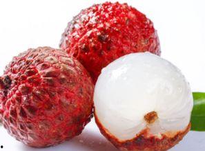 吃荔枝可以吃哈密瓜,夏日果香盛宴