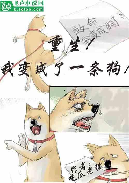 吉吉吃瓜小说,揭秘娱乐圈背后的秘密与真相