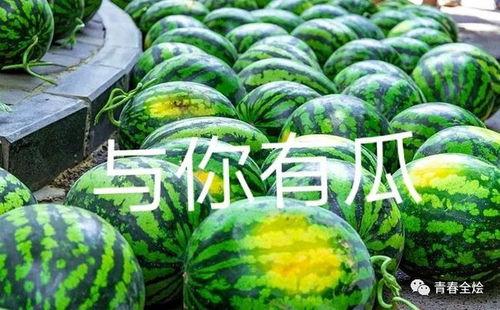 鸡东二中吃瓜,吃瓜群众揭秘校园热点事件