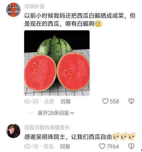 吃的瓜太炸裂,揭秘那些让人欲罢不能的美食传奇