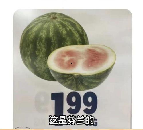 吃的瓜太炸裂,揭秘那些让人欲罢不能的美食传奇