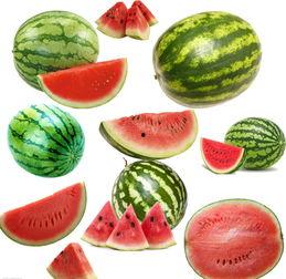 北湖吃瓜指啥,网络热词背后的文化现象