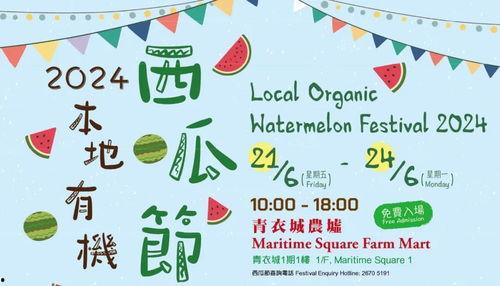 周五吃瓜文案短句,轻松一“瓜”,快乐一“周”