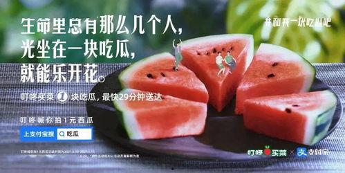 网课吃瓜文案,揭秘那些隐藏在屏幕背后的精彩瞬间