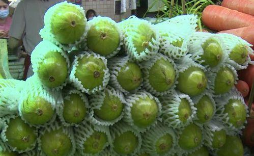 吃葫芦瓜能致癌吗,真相与误区解析