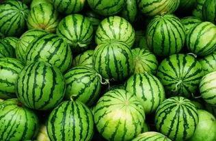 美伢吃瓜群,揭秘娱乐圈幕后故事