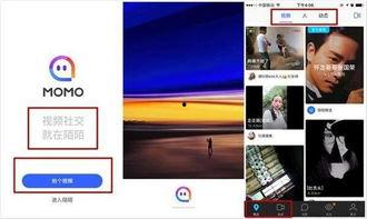 陌陌吃瓜视频,热门话题背后的真相与笑料
