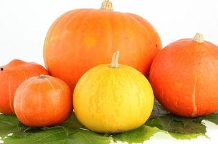 发烧可以吃方瓜嘛,方瓜能否成为食疗佳选？