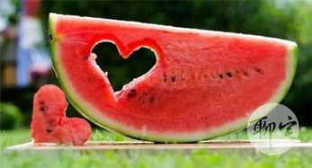 吃瓜的网站免费,免费畅享娱乐资讯的乐园