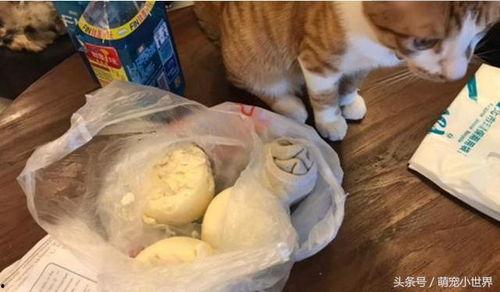 白袜子吃瓜,揭秘娱乐圈幕后故事